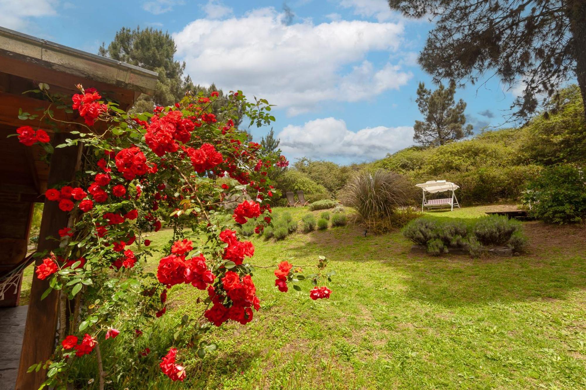 Akapana Alojamento de Turismo Selvagem Villa Berna